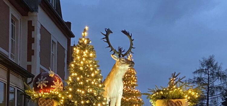 Weihnacht TO GO am 11. Dezember 2021 Weihnacht TO GO am 11. Dezember 2021