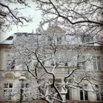 Winter im Kiez, Bild: J.Goedicke©